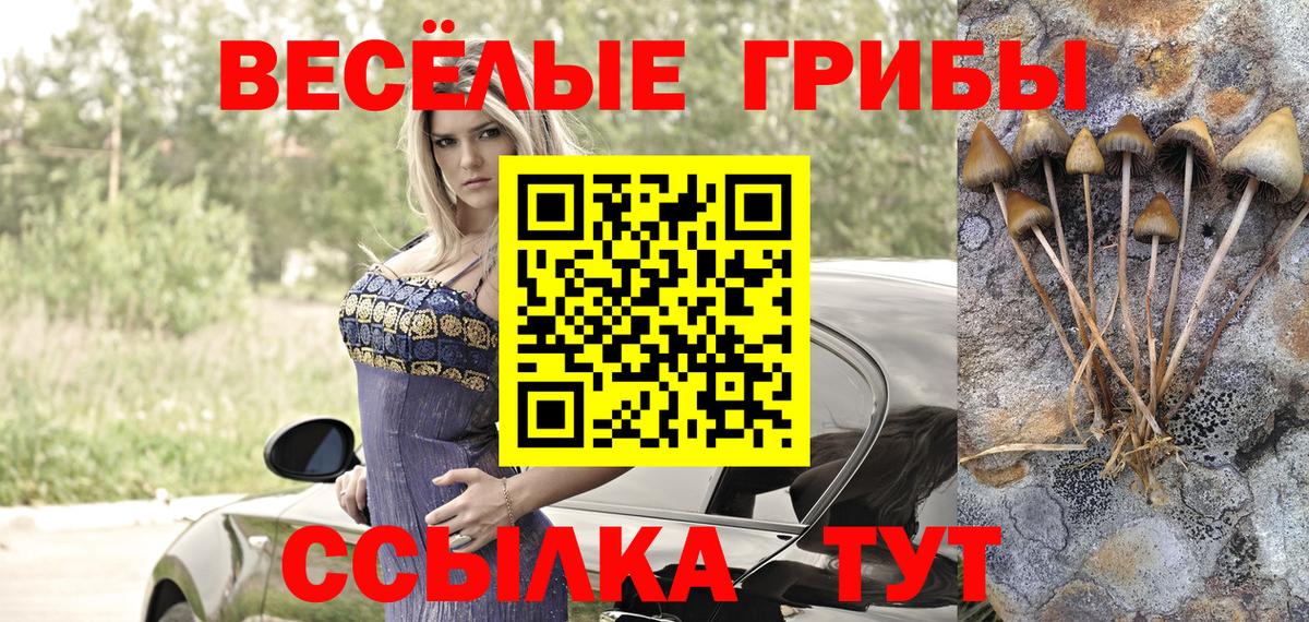 Солнечногорск  сколько стоит  Вход с VPN  Псилоцибиновые грибы Psilocybe 
